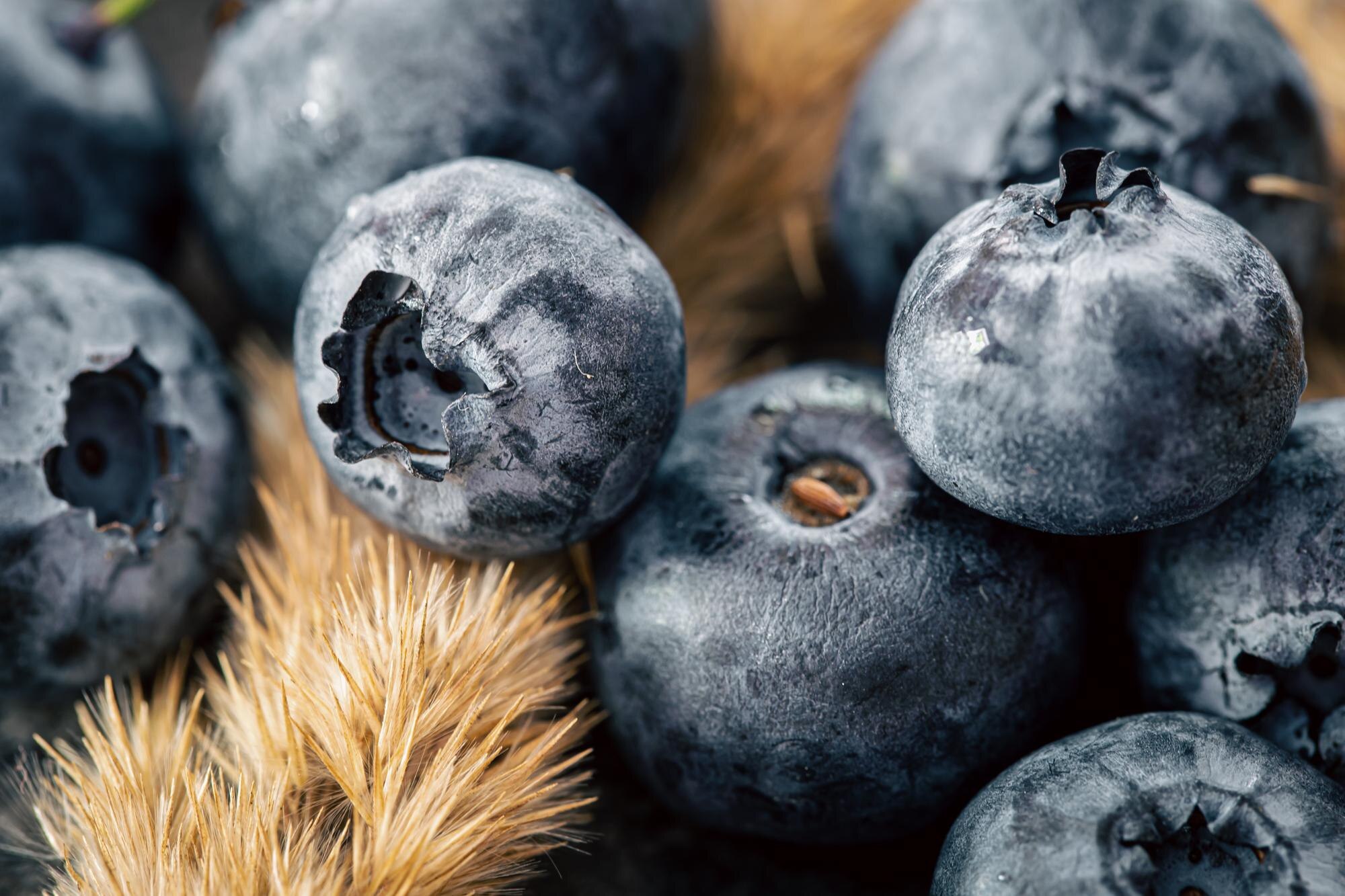 Beri biru segar — panduan pemakanan dan diabetes Malaysia